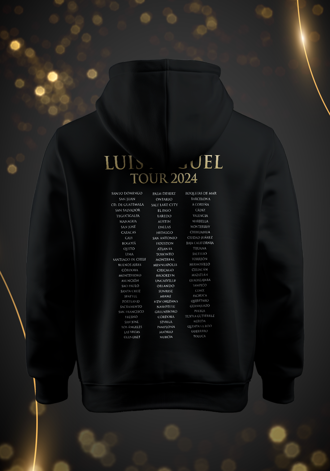 Hoodie Tour 2024- Unisex